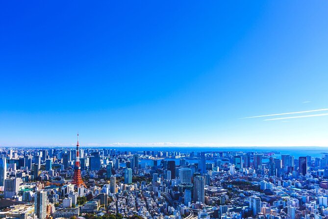 Tokyo Helicopter Ride: 3 Flight Durations & Mt. Fuji Option - Booking and Pricing Details