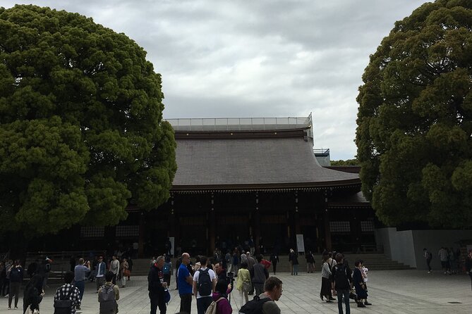 Tokyo Highlights Food and Culture - Street Food Exploration