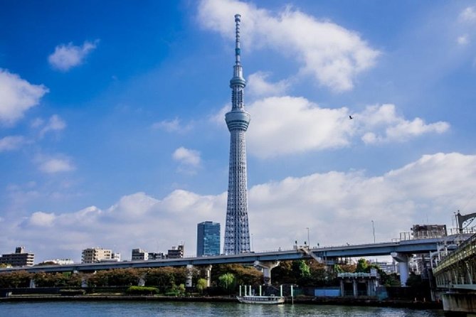 Tokyo Private Custom Tour With Water Bus Ride - Water Bus Experience