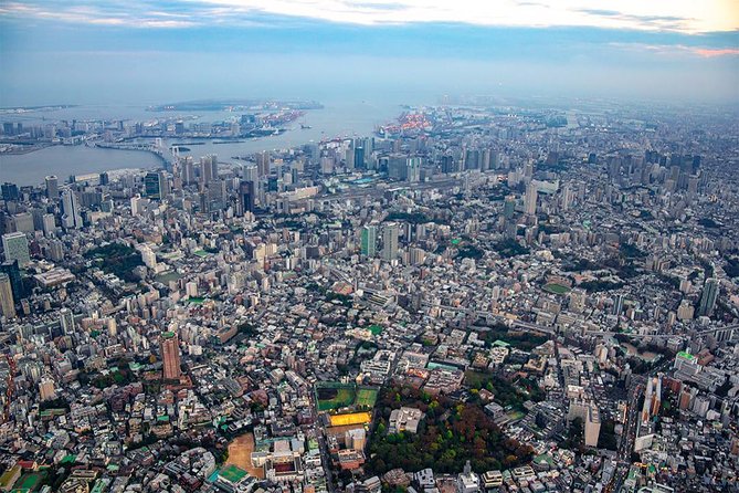 Tokyo Skyscraper Tour Over Tokyo Bay, Shibuya, and Shinjuku - Tour Inclusions