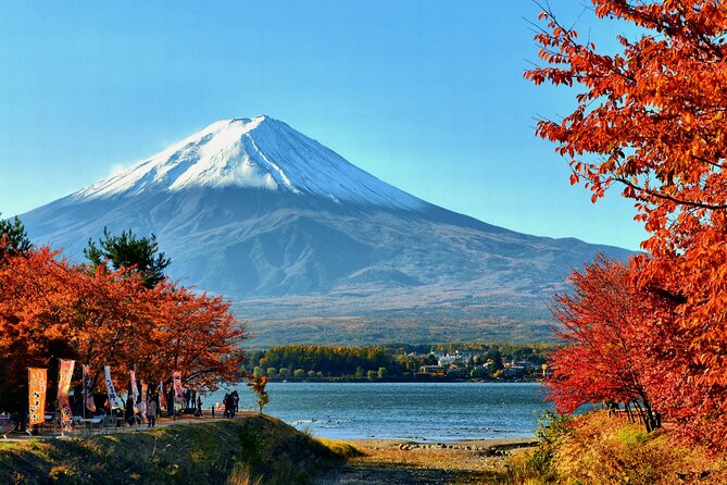 Tokyo to Mt Fuji, Oshino Hakkai: 1-Day Group Tour and Shopping - Meeting and Pickup Information