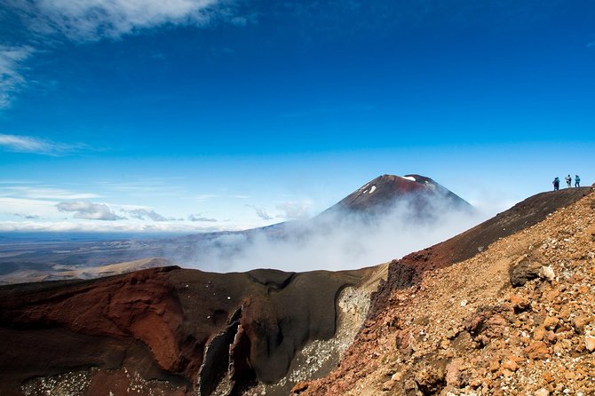 Tongariro Alpine Crossing Ketetahi Shuttle - Inclusions and Services