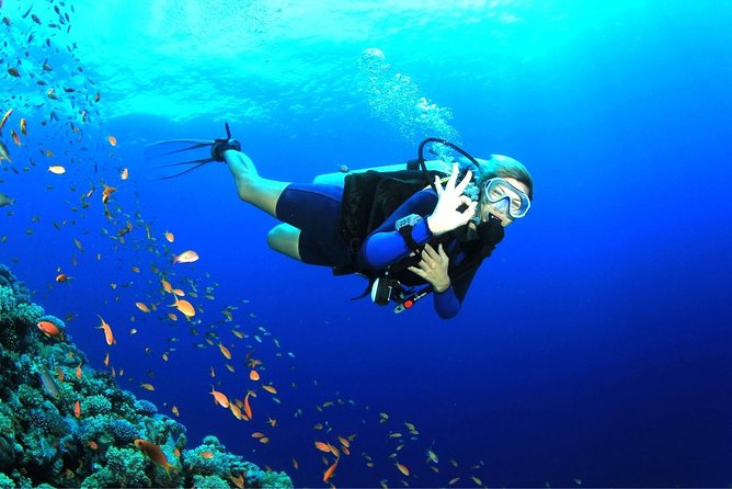 Tulamben Diving Tour Shipwreck USS Bali - Shipwreck Exploration