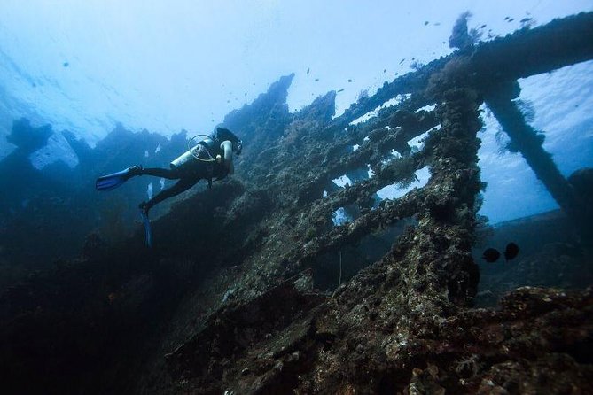 Tulamben Diving USS Liberty Shipwreck Scuba Dive - Experience Overview
