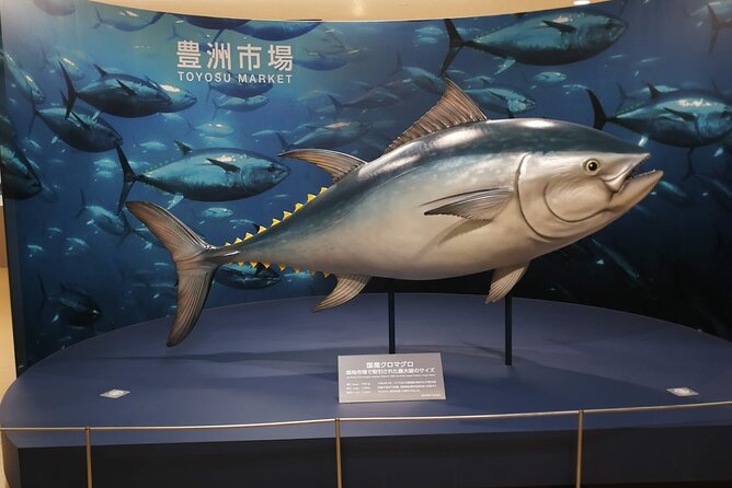 Tuna Auction and Tokyo Toyosu Fish Market Tour - Important Additional Information