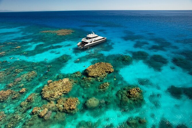 Tusa Reef Tours All Inclusive Great Barrier Reef Tour From Cairns - Customer Reviews and Ratings