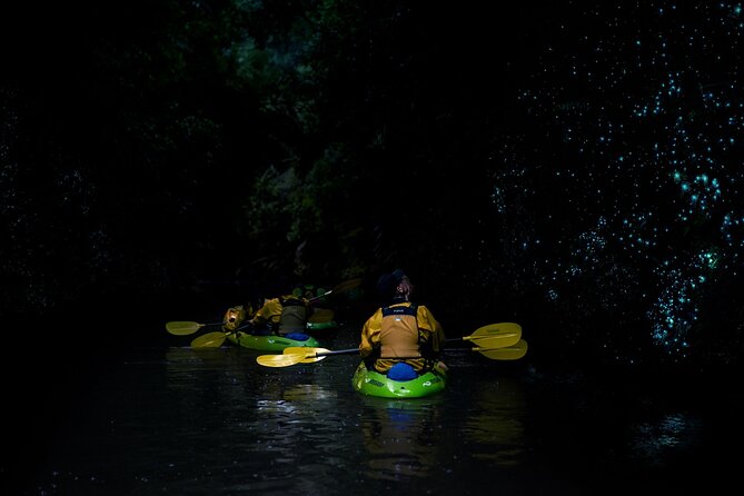 Twilight Kayak Glow Worm Tour - Logistics