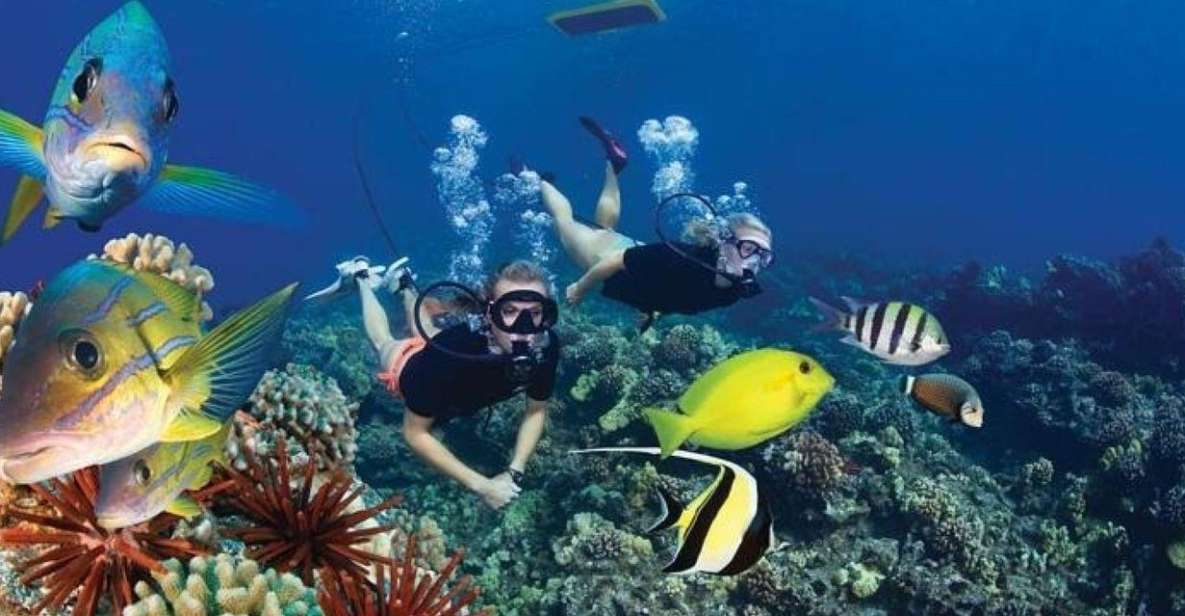 Two Stop Deluxe Molokini Snorkel - Experience Highlights