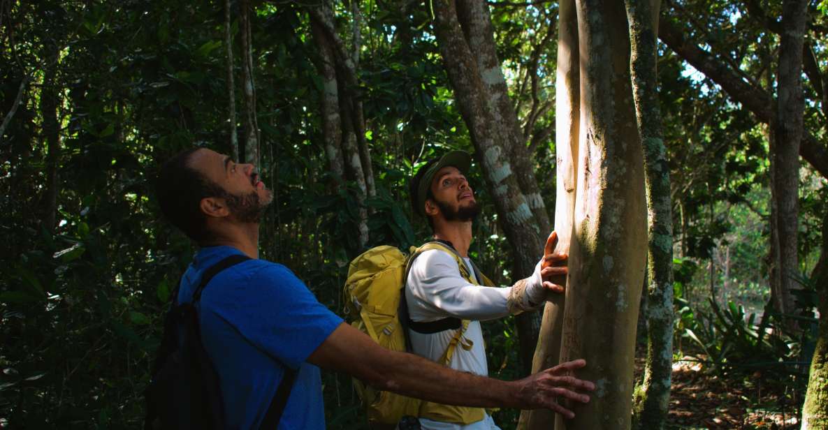 Ubatuba - Trail to 7 Beaches - Booking Information