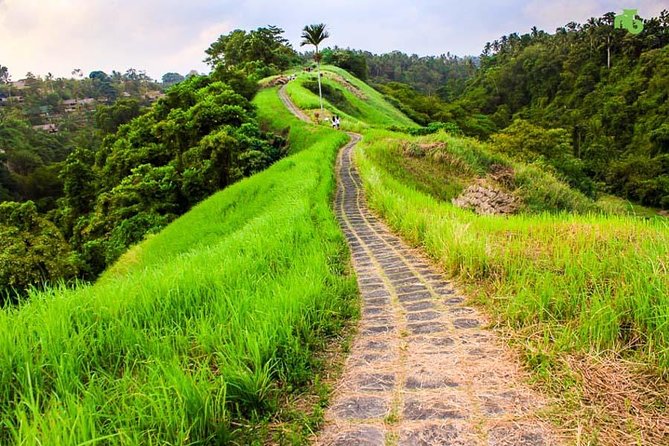 Ubud Countryside Tour: Campuhan Ridge Walk and Rice Terrace - Pricing and Inclusions