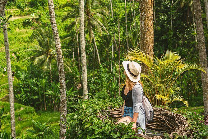 Ubud Customizable Tours Swing, Waterfall and Temple - Itinerary Options