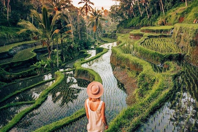 Ubud Day Trip With Private & Friendly Driver - Traveler Reviews