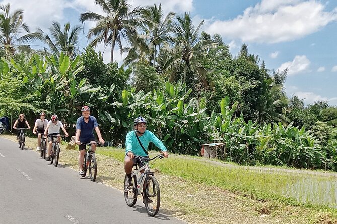 Ubud Downhill Cultural Cycling Tour With Rural and Meal - Inclusions and Highlights