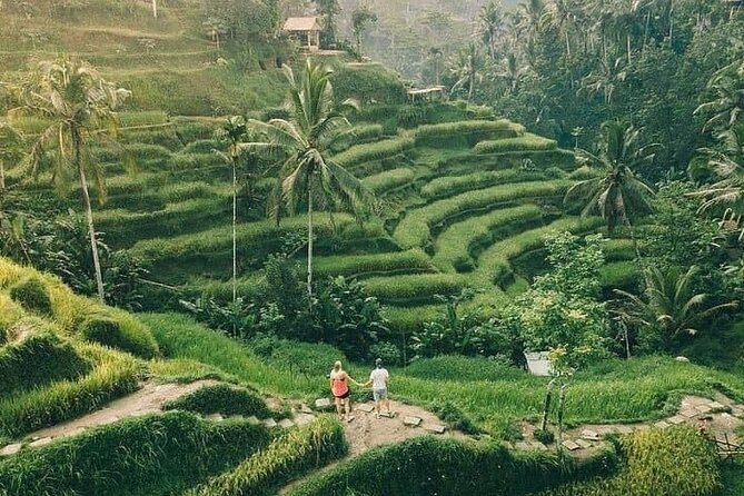 Ubud in a Day: Rice Terrace, Holy Water Temple, Waterfall, Arts - Chasing Waterfalls in Ubud