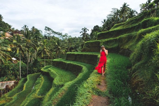 Ubud Private Day Trip (Transport Only) - Traveler Reviews