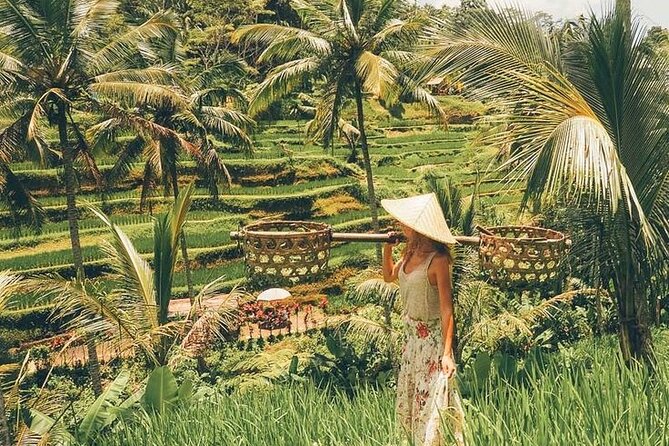 Ubud Private Full-Day Highlights: Temples, Swing, and Monkeys  - Seminyak - Tour Details and Itinerary