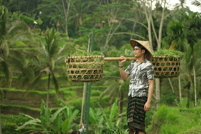 Ubud Private Highlights Tour With Entrance Fees Included - Traveler Photos and Reviews