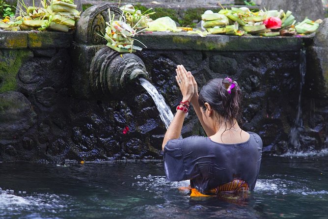 Ubud Private Highlights Tour With Lunch and In-Car Wi-Fi  - Kuta - Attractions Included in the Tour