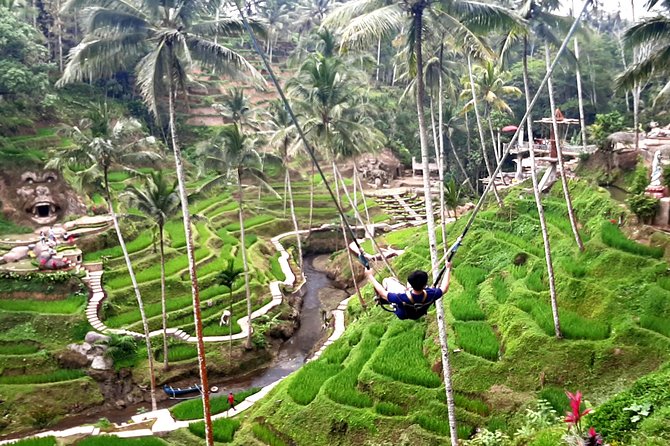 Ubud Private Transport-Only Tour With Stop at Rice Field Swing - Booking Information