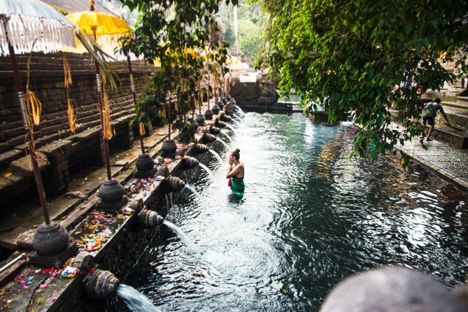 Ubud Surounding Tour - Tour Highlights and Inclusions