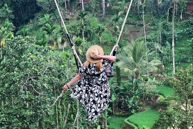 Ubud Tour - Best of Ubud With Jungle Swing - All Inclusive - Itinerary Details