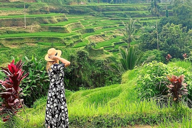 Ubud Tour - Ubud Highlight - Private Tour All Inclusive - Inclusions and Services