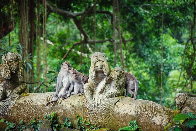 Ubud: Waterfall, Rice Terraces, and Monkey Forest Private Tour - Inclusions and Exclusions