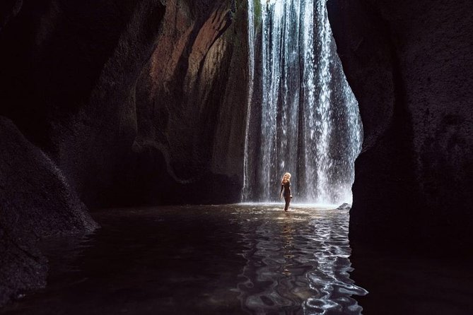 Ubud Waterfalls Private Tour With Driver/Guide/Photographer  - Seminyak - Pricing Details