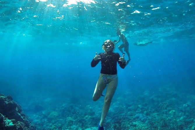 Ultimate 3.5 Hour Snorkel - Snorkeling Highlights and Experience