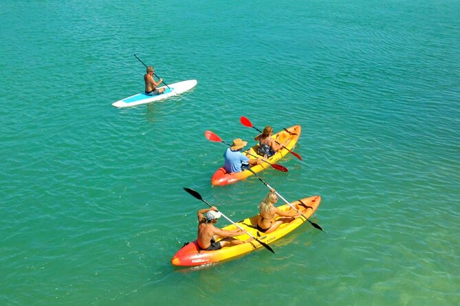 Ultimate Key West Kayak Eco-Tour: Mangrove and Sandbar Adventure - Tour Inclusions