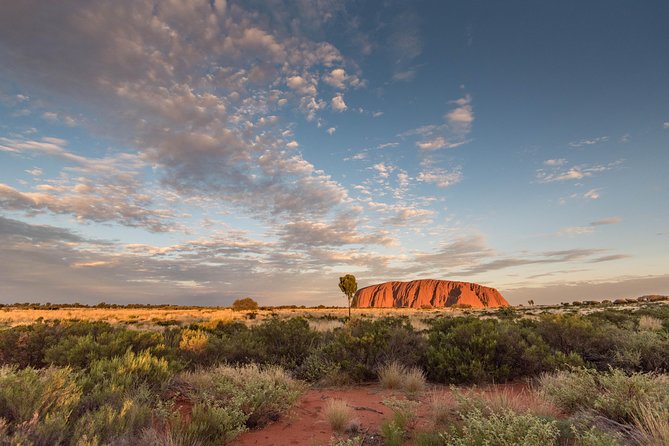 Uluru, Kata Tjuta and Kings Canyon Camping Safari From Alice Springs - Traveler Reviews and Feedback