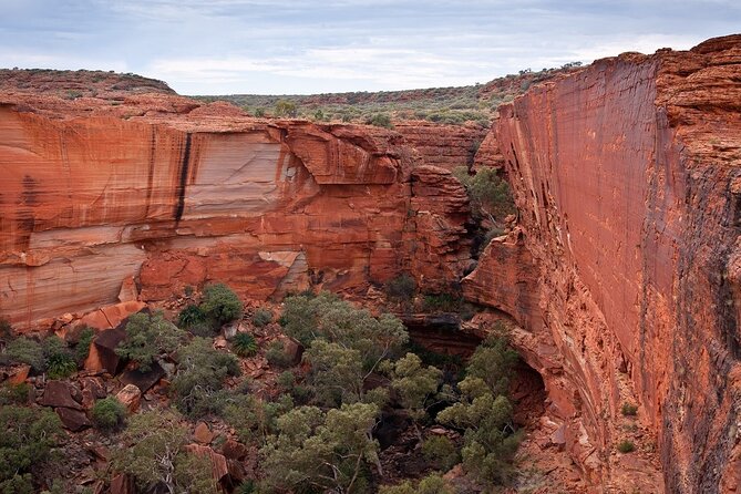 Uluru, Kata Tjuta and Kings Canyon Camping Safari From Ayers Rock - Traveler Information