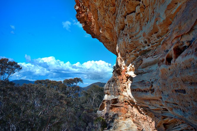 Unforgettable Blue Mountains Day Tour - Tour Experience and Highlights