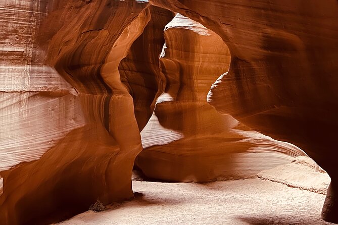 Upper and Lower Antelope Canyon Half Day Tour From Page - Customer Reviews and Highlights