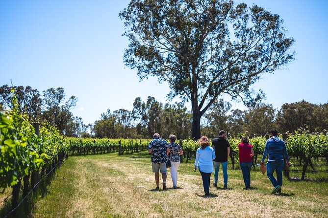 Upper Reach Winery: Swan Valley Winery and Vineyard Tour - Booking Information