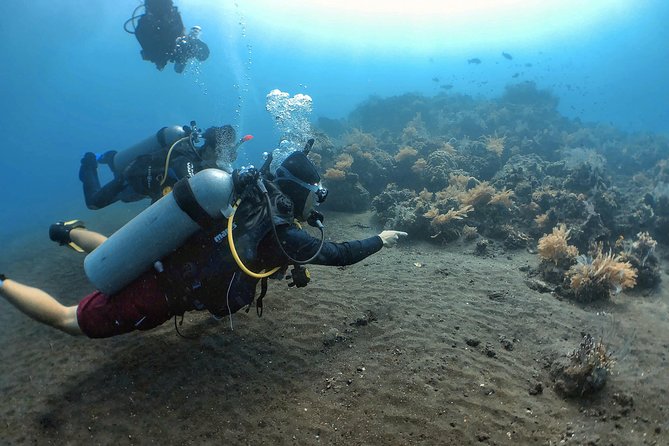 USAT Liberty Shipwreck Scuba Diving Adventure - Equipment and Preparation