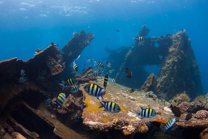 USS Liberty Shipwreck Scuba Diving at Tulamben Bali - Cancellation Policy