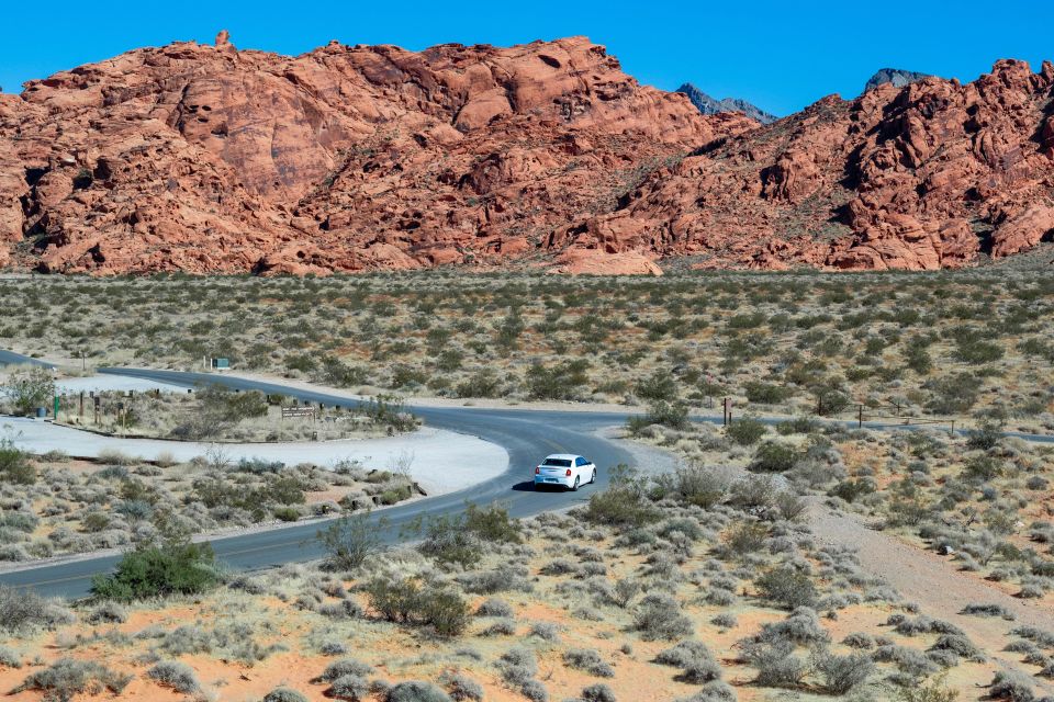 Valley of Fire: Private Group Tour From Las Vegas - Tour Highlights