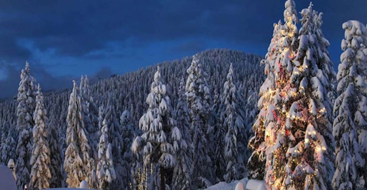 Vancouver Day TripGrouse Mountain&Capilano Suspension - Booking Information