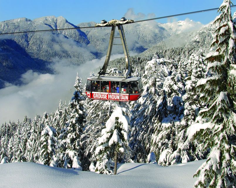 Vancouver: Grouse Mountain Admission Ticket - Booking and Payment Options