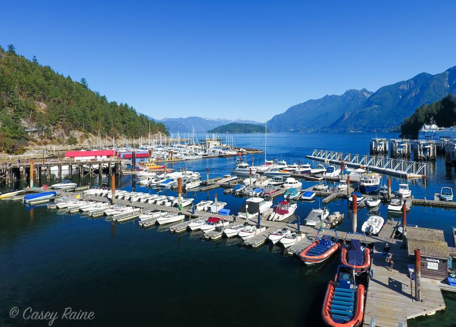 Vancouver: Howe Sound Fjords, Sea Caves & Wildlife Boat Tour - Experience Highlights
