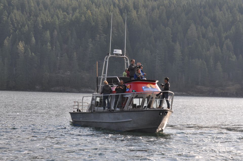 Vancouver Island: Full-Day Grizzly Bear Tour at Toba Inlet - Experience