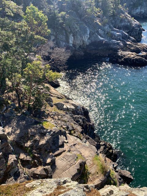 Vancouver: Lighthouse Park Hike - Enjoy a Scenic Drive Through Stanley Park