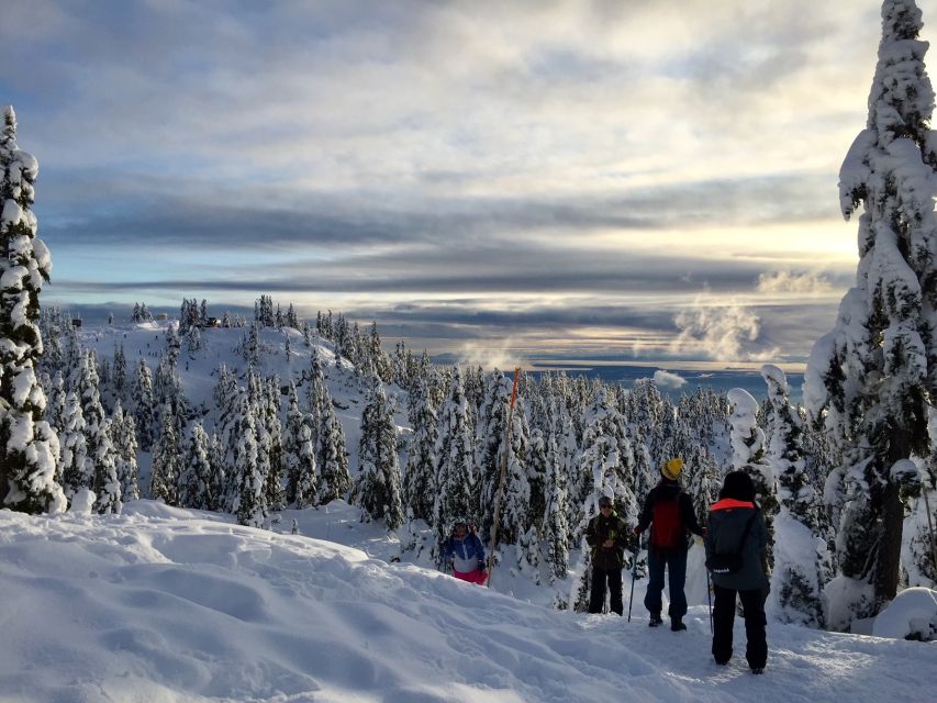 Vancouver: Panoramic View Snowshoeing Tour - Activity Description