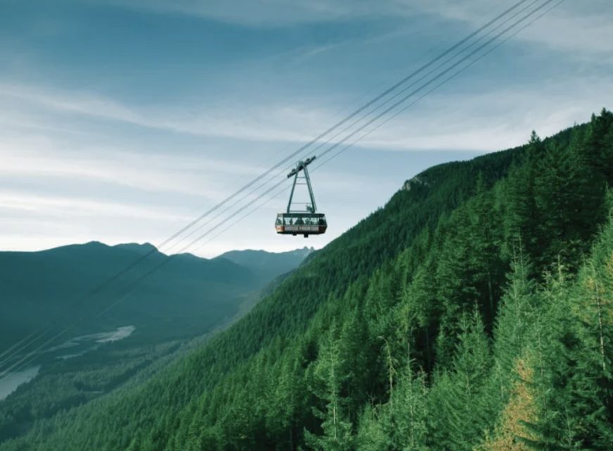 Vancouver: Small Group Tour W/Capilano & Grouse Mtn Lunch - Customer Reviews and Recommendations