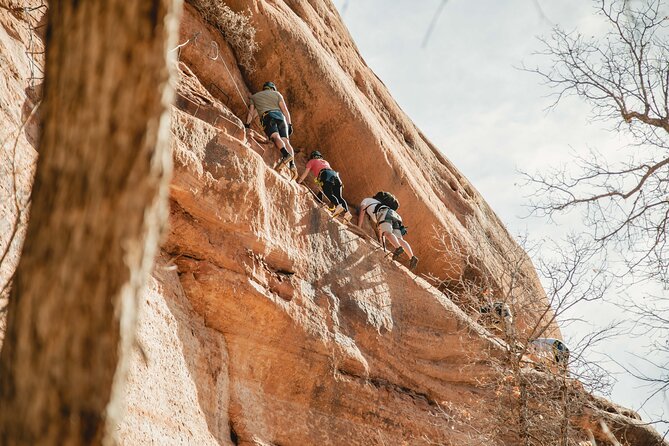 Via Ferrata / Rappel Adventure in East Zion - Activities Included