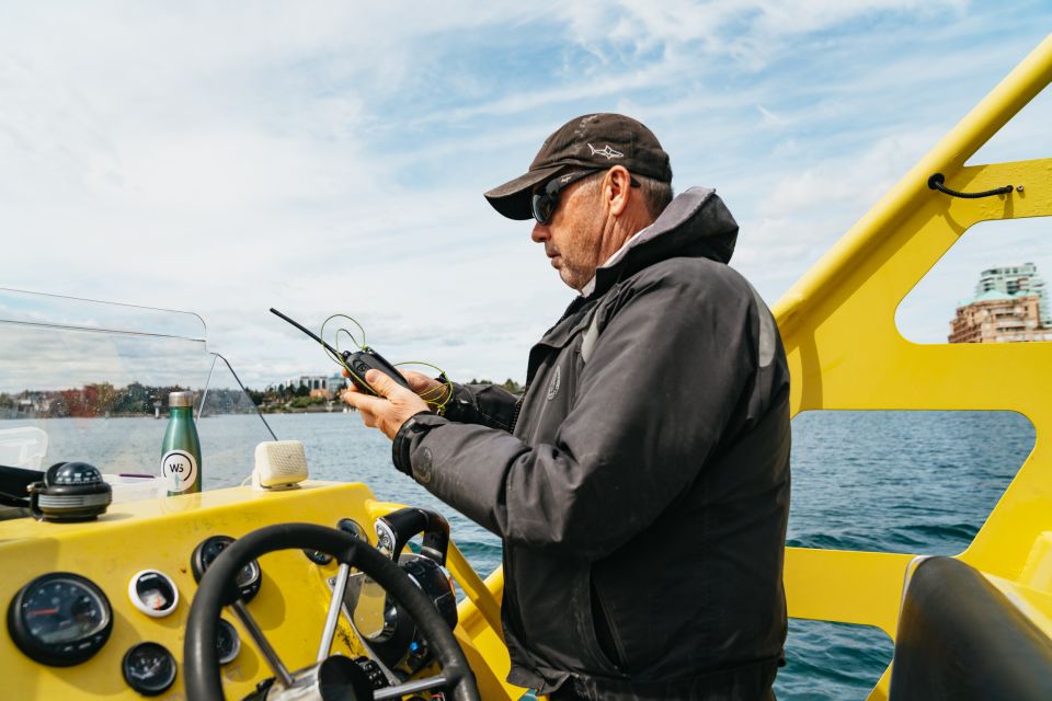 Victoria: 3-Hour Whale Watching Tour in a Zodiac Boat - Experience