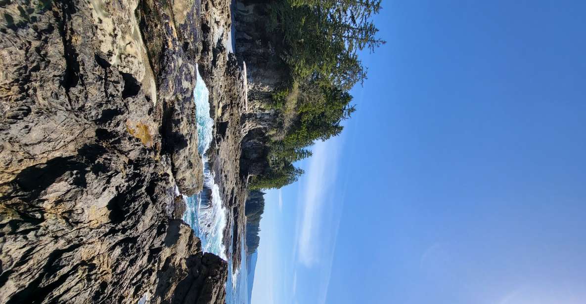Victoria or Nanaimo; West Coast Big Tree Coastal Adventure - Tour Details
