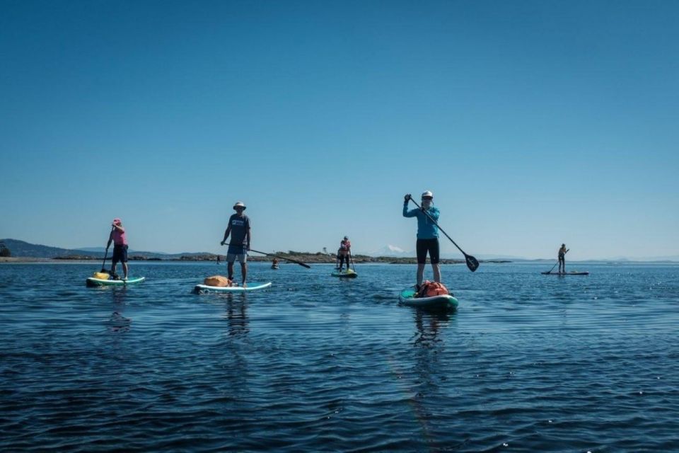 Victoria,BC: Learn to SUP and Tour - Experience Highlights