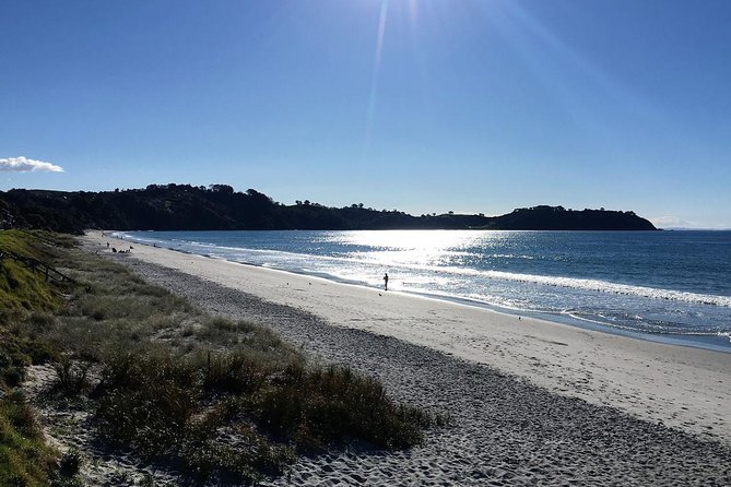 Waiheke Island Bush & Beach Walk - Meeting Point